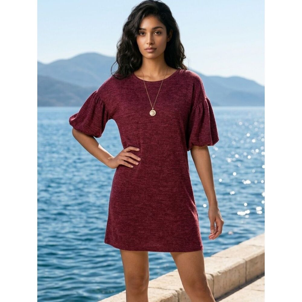 Francesca's Alya Celena Dress Large Burgundy Puff Sleeve Knit Mini Poet Shift